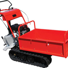 Collection image for: Mini-transporteurs