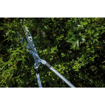 Cisaille à haie télescopique Capvert
