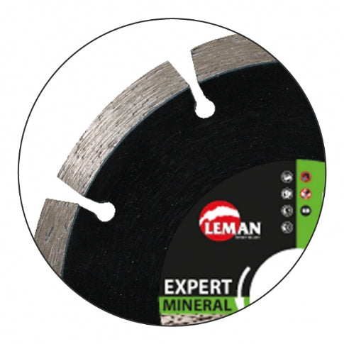 Leman mortar joint removal diamond disc