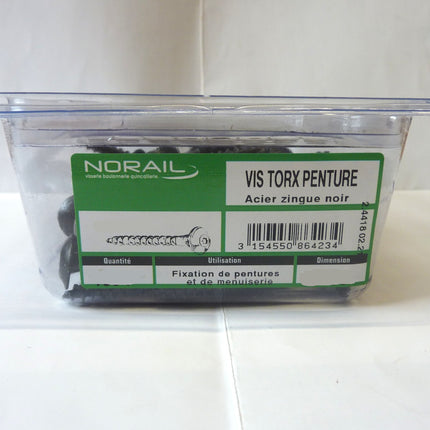 Vis penture  6 x 20 Norail