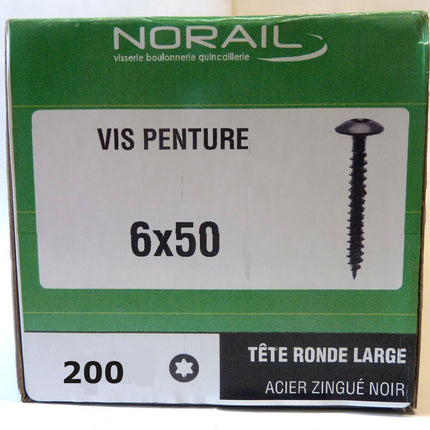 Vis penture  6 x 50 Norail