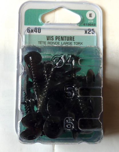 Vis penture  6 x 40 Norail