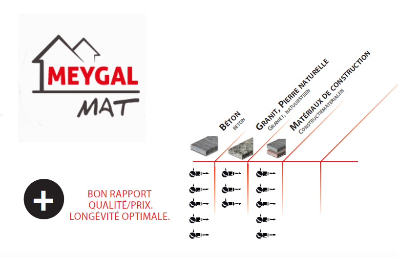 Plateau de ponçage diamant 125 mm Leman