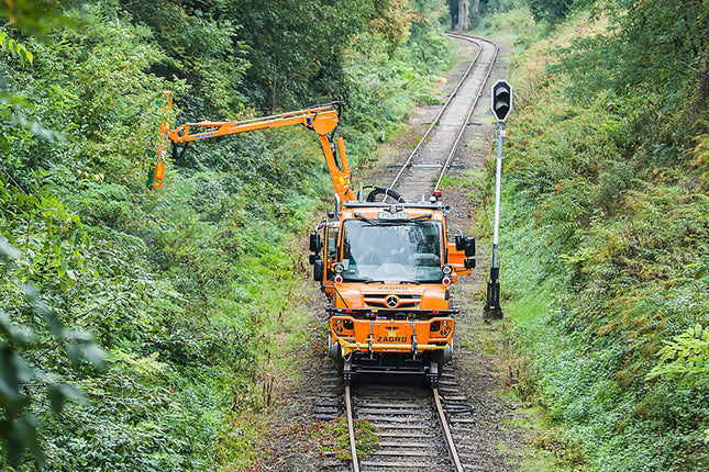 Lame de lamier Leman 600 mm – Élagage intensif & usage professionnel